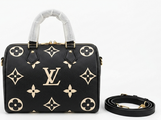 Louis Vuitton cross body Bag